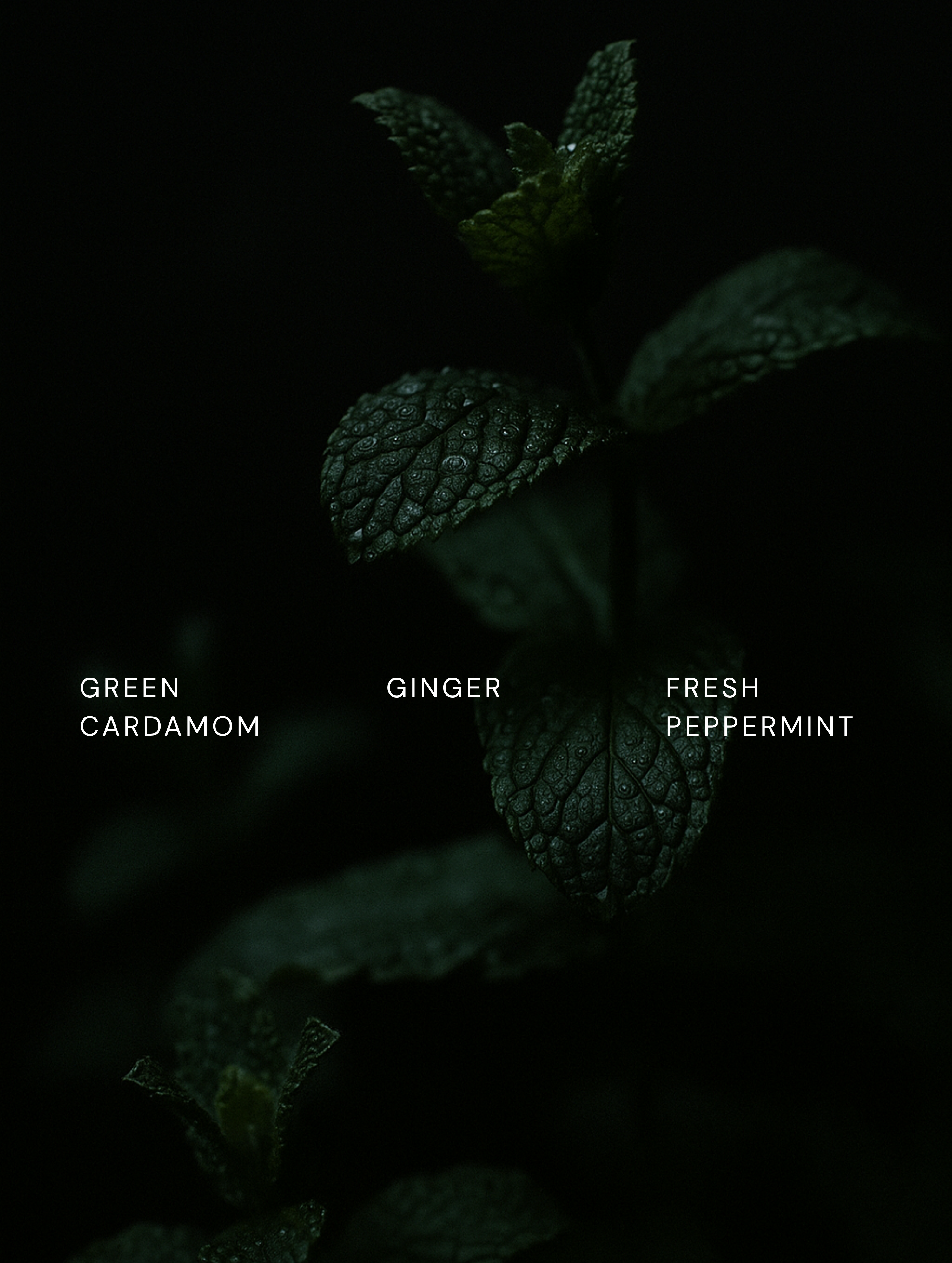 Microbiome Prebiotics Face Mist