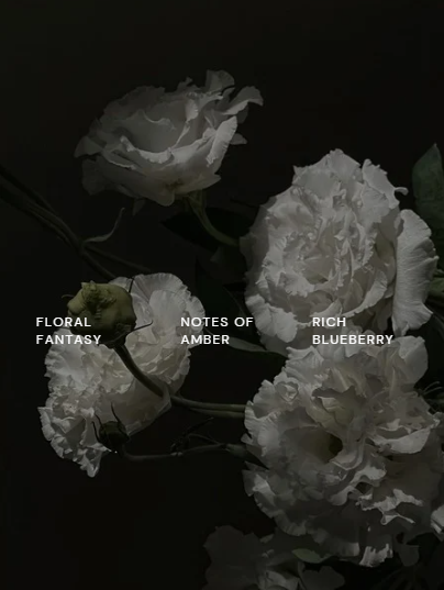 Peptide Anti-Aging Serum