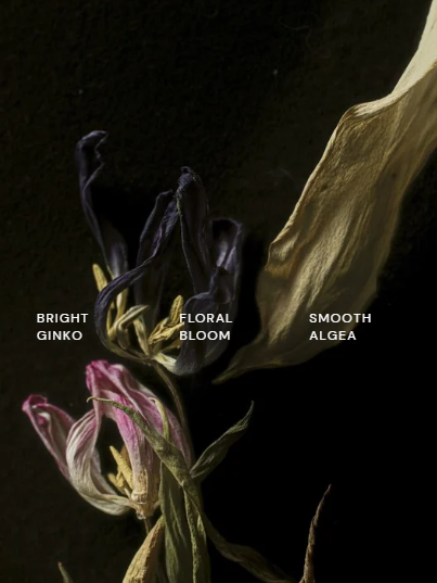 Niacinamide Hydrating Gel