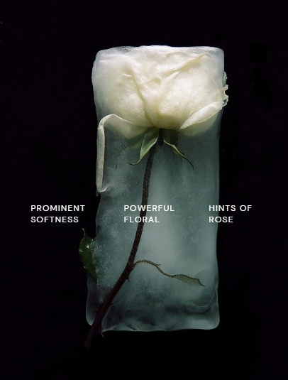 Glycolic Acid Exfoliating Toner