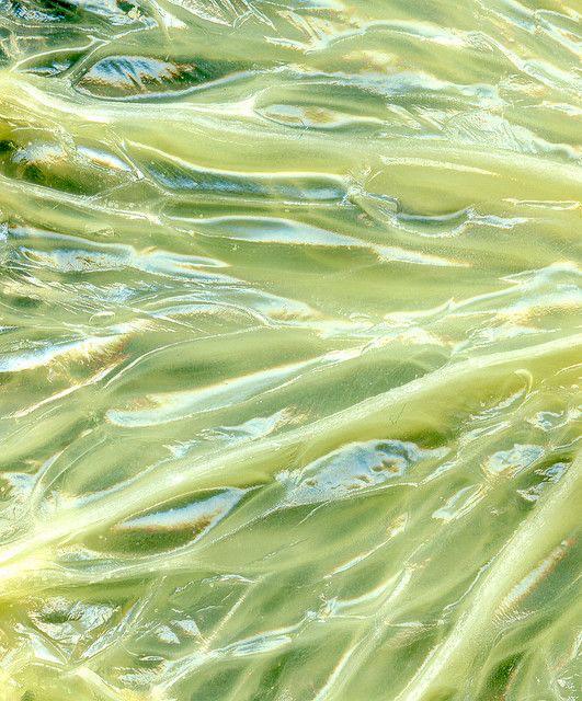 Targeted Dark Spot Face Cream with Kojic Acid